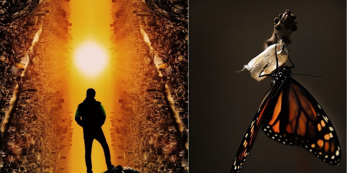 Transformation Vs Disruption Joseph Paris