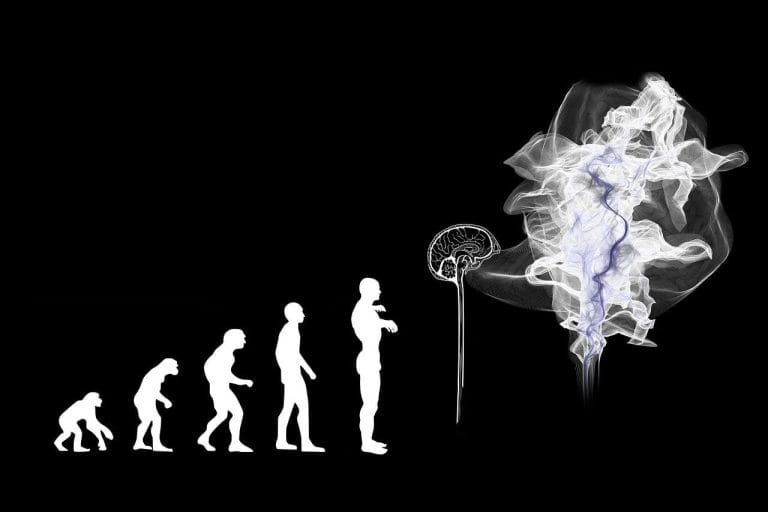The Evolution of Continuous Improvement and Operational Excellence: From Tools to People